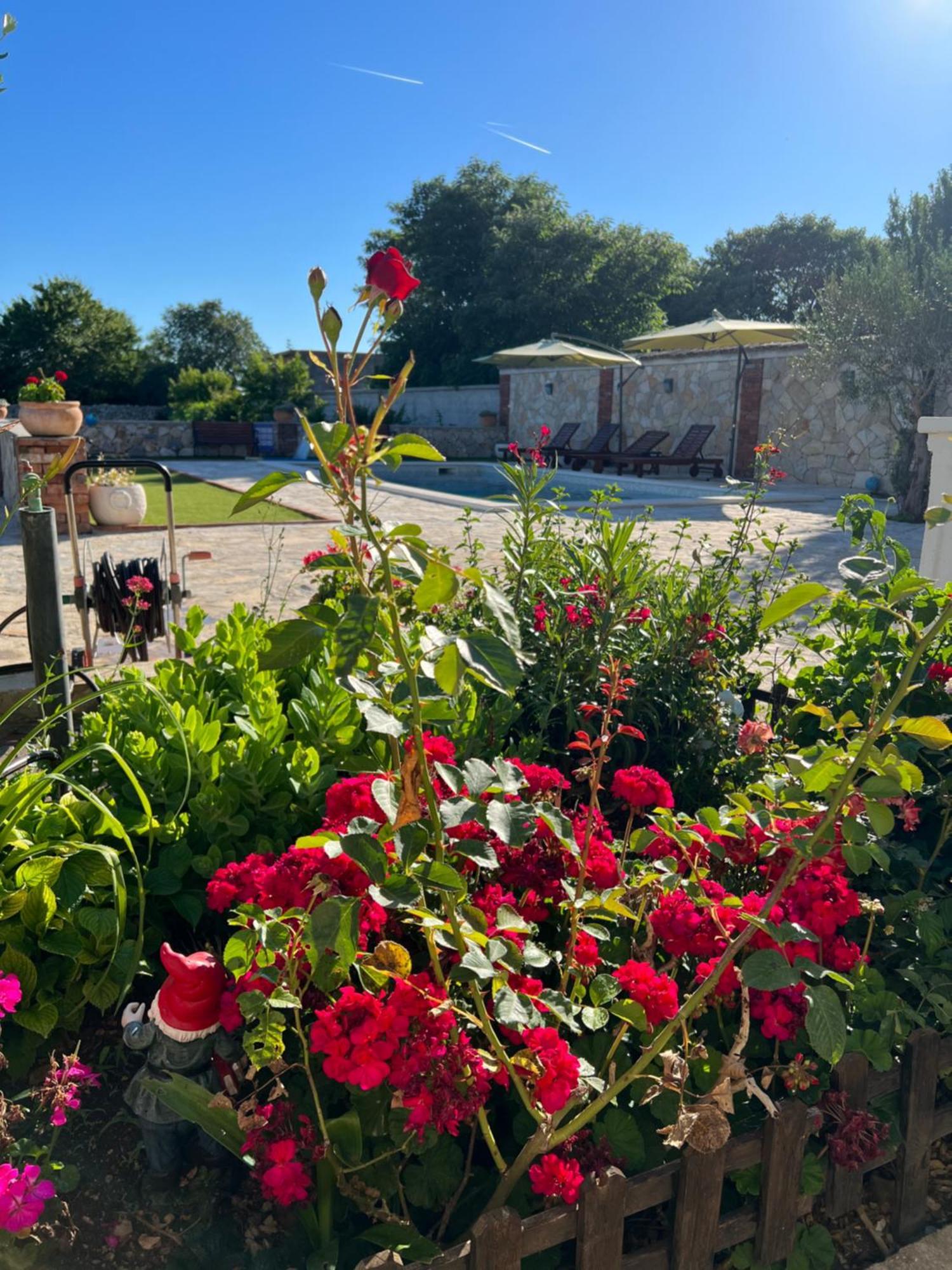 Holiday Home Iva With Pool Sukošan 외부 사진